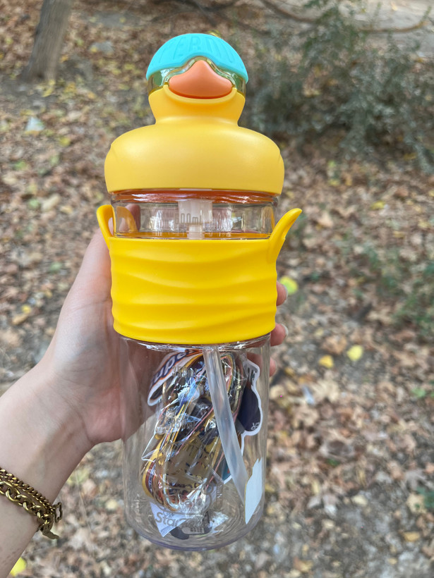 قمقمه فانتزی اردک